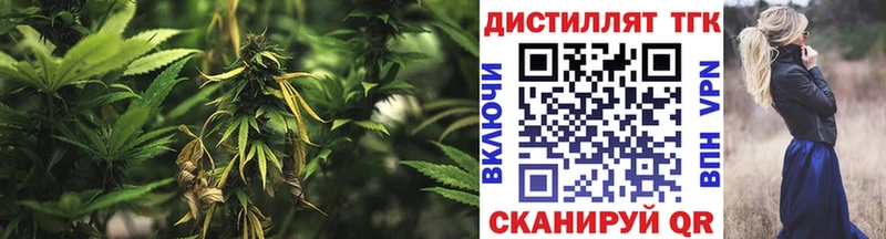 Купить  Лесной  ТГК концентрат 